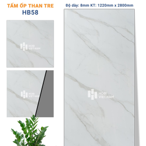 Tổng Kho Tấm Ốp Than Tre Bình Dương - Vinh Quang Decor
