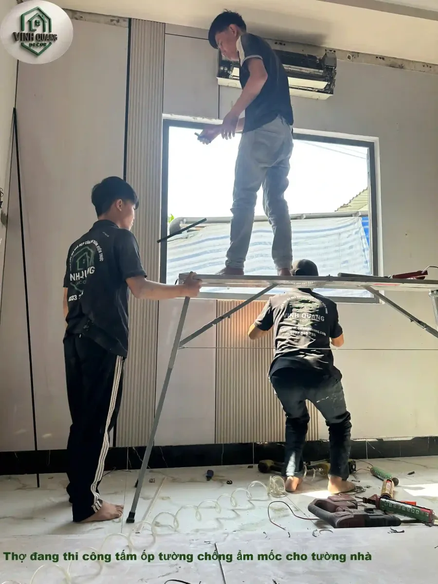 Vinh Quang Decor thi công tấm ốp tường chống ẩm mốc
